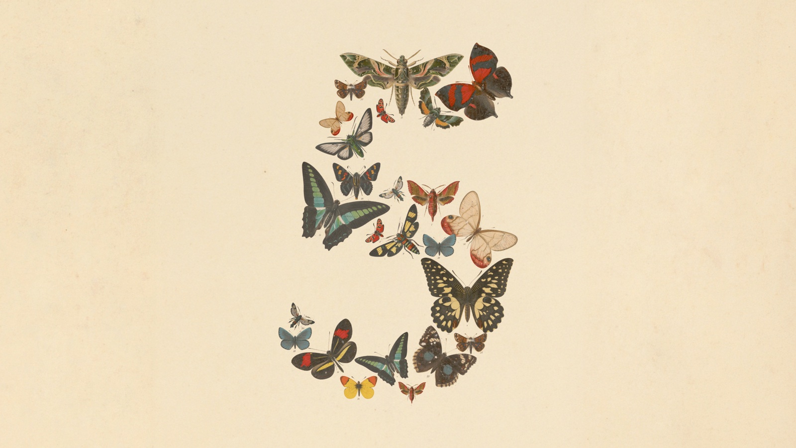 Claude Fable 5 launch art: the numeral five composed of vintage botanical illustrations of butterflies and moths on a cream background
